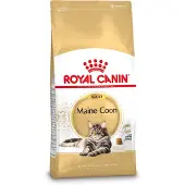 Royal Canin Maine Coon Adult - 4 kg