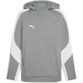 Puma Camiseta deportiva 'TeamEVOSTRIPE' gris / gris claro