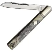 Rough Ryder Pocket knife Black Appaloosa Doctor