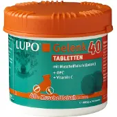 Luposan Gelenk 40 - Comprimidos - 400 g / 200 piezas