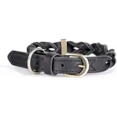 My Family Collar Para Perro Ascot