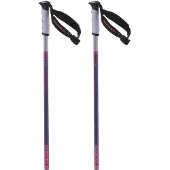 Salomon Bastones Arctic S3 Xl