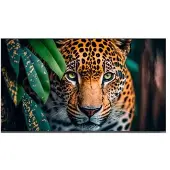 Newline Monitor Stv-5524p 55´´ 4k Lcd