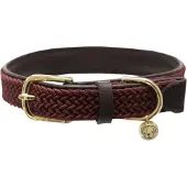 Kentucky Collar Para Perro Nylon Plaited