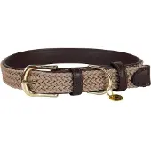 Kentucky Collar Para Perro Nylon Plaited