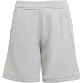 Adidas Pantalón deportivo gris