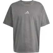 Adidas Camiseta funcional 'All Szn' gris / negro