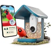 Birdbuddy Smart Bird Feeder