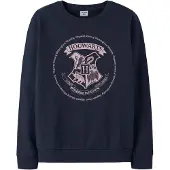 TWO SOON Sudadera 'Harry Potter' azul / rosa