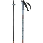 Salomon Bastones Polar Pro