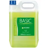 Artero Champú Basic 5l