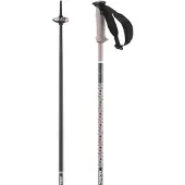 Salomon Bastones Polar Pro