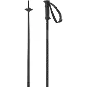 Salomon Bastones Polar Access