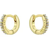 Ted Baker Pendientes 'HETTIE' oro