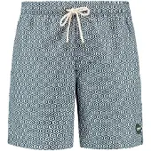 Shiwi Bermudas 'Mike' verde oscuro / blanco