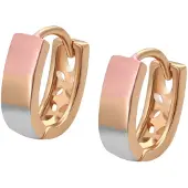 NAEMI Pendientes oro / oro rosa / plata