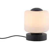 Paul Neuhaus Lámpara de escritorio LED BOTA 4037-13 de