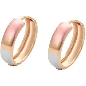 NAEMI Pendientes oro / oro rosa / gris claro