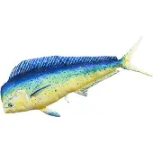 Gaby El Cojín Gigante De Mahi Mahi
