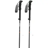 Gabel Bastones Ibex Carbon Xtl
