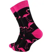 Vincent Creation® Calcetines magenta / negro
