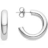 Luxenter Pendientes 'Shiwa' plata