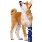 Medical Pet Shirt Boot - L
