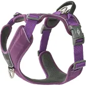 Dog Copenhagen Comfort Walk Pro arnés Purple Passion XL