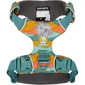 Ruffwear Front Range Harness - L/XL - Spring Mountains