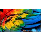 Philips Tv 65hfl6214u/12 Hotel Mediasuit Android 65´´ 4k Led
