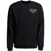 Alessandro Zavetti Sudadera 'Montanelli' aqua / negro / blanco
