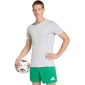 Adidas Camiseta funcional 'Entrada26' gris claro / blanco