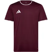 Adidas Camiseta funcional 'Entrada26' borgoña / blanco