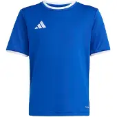 Adidas Camiseta funcional 'ENT26' azul real / blanco