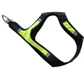 Axaeco Arnés Para Perros X-run