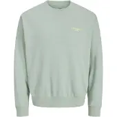 JJ REBEL Sudadera 'JREBHAYDEN' gris claro / manzana / blanco