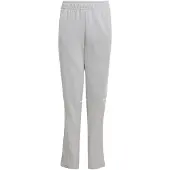Adidas Pantalón deportivo 'Squadra 25' gris claro / blanco