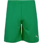 Puma Pantalón deportivo 'TeamRise' verde / blanco