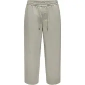 Only & Sons Pantalón 'ONSTimes' verde pastel