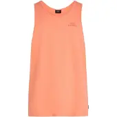 O'Neill Camiseta 'Slub' naranja claro