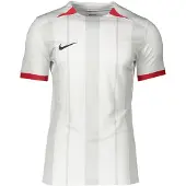 Nike Camiseta de fútbol gris claro / blanco
