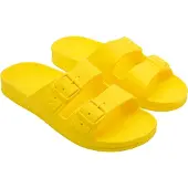 Cacatoès Chanclas Bahia