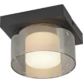 Paul Neuhaus Lámpara de techo LED RIKA 6162-18 de