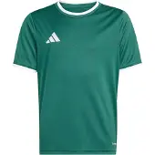 Adidas Camiseta funcional 'ENT26' verde oscuro / blanco