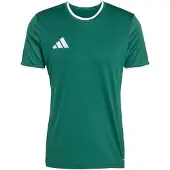 Adidas adidascamiseta Entrada26 2XL Team Dark Green / White Hombre