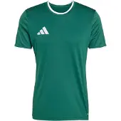 Adidas Camiseta funcional 'ENT26' verde / blanco