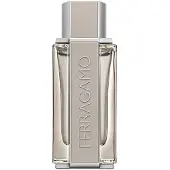 Salvatore Ferragamo Eau De Toilette Bright Leather Vapo 100ml