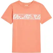 O'Neill Camiseta De Manga Corta Graphic