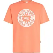 O'Neill Camiseta 'Musthave' albaricique / blanco