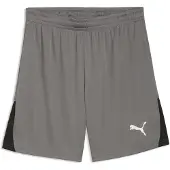 Puma Pantalón deportivo 'TeamLIGA26' gris / negro / blanco